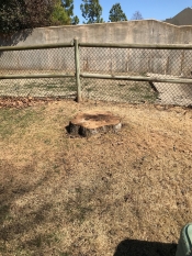 stump grinding