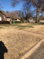 Tulsa Stump Grinding