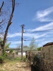 finished product of hackberry tree removal in Tulsa and  nothing damaged. 