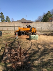 stump grinding