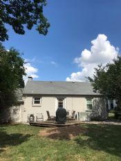 Sweet Gum Tree Removal