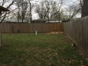 Tree Removal Mulberry Tulsa