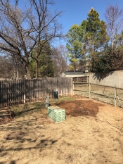 stump grinding