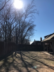 Tree Removal Tulsa - Broken Arrow