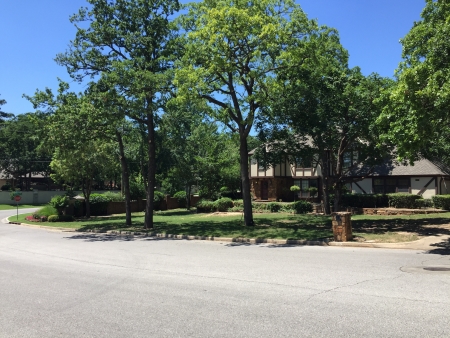 Tree Trimming Tulsa