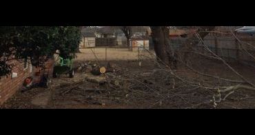 tulsa tree service