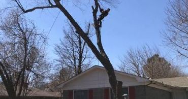 tulsa tree removal