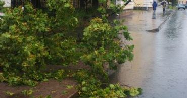 tulsa tree removal