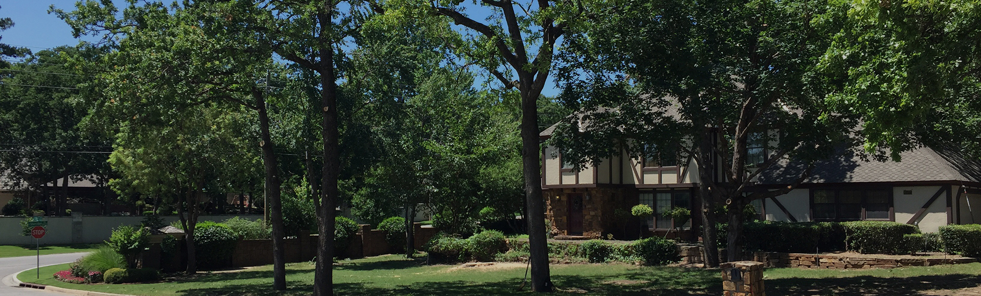 Tulsa Professional Tree Services