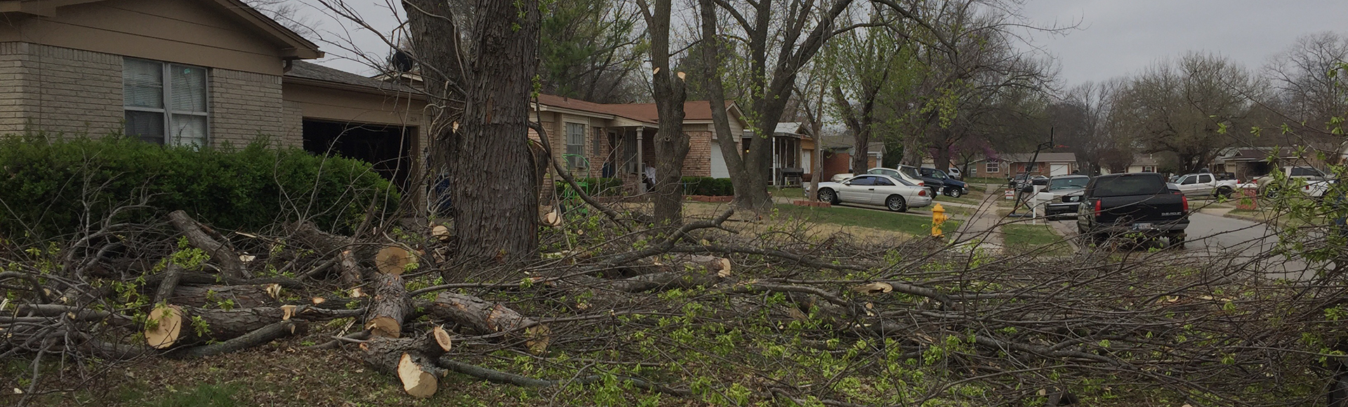 Tulsa Emergency Storm Tree Work