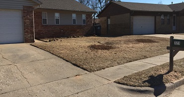 Tulsa Stump Grinding