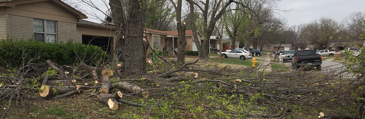 Tulsa Tree Trimming