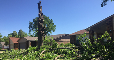 Tulsa Tree Removal